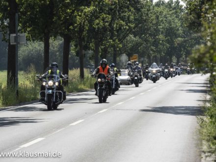 10. Strahlemann Benefiz - Motorradtour: Einigge Teilnehmer fahren mit ihren Motorrädern eine Allee entlang