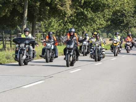 10. Jahre Cruisen für den guten Zweck: Teilnehmer fahren eine Allee entlang