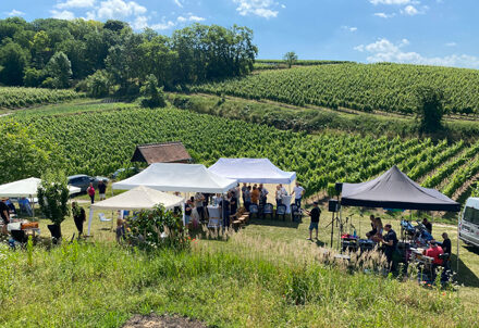 Das Wingertfest 2022 im Unkental.